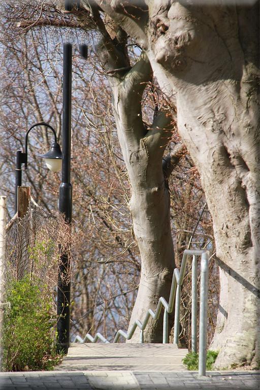 Deutsches Haus Apartments Lohme Zewnętrze zdjęcie